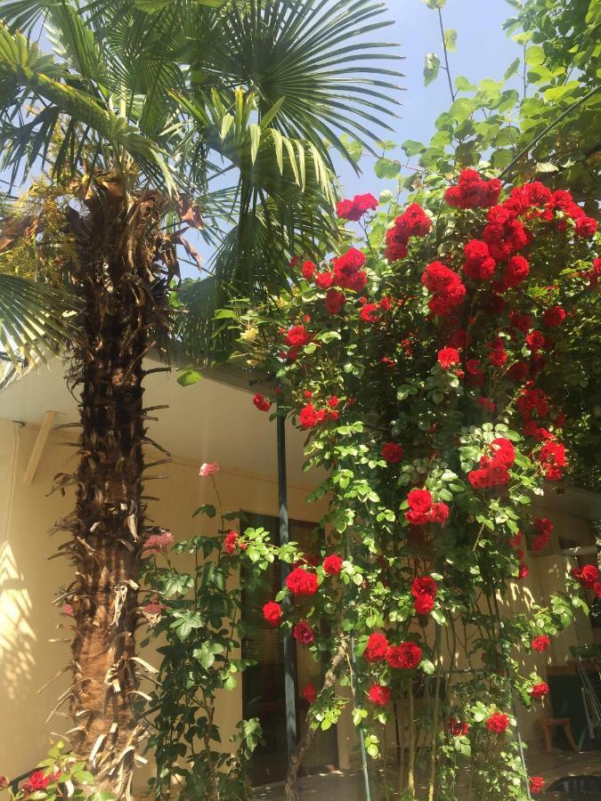 House 41 Bed & Breakfast Тбилиси Екстериор снимка